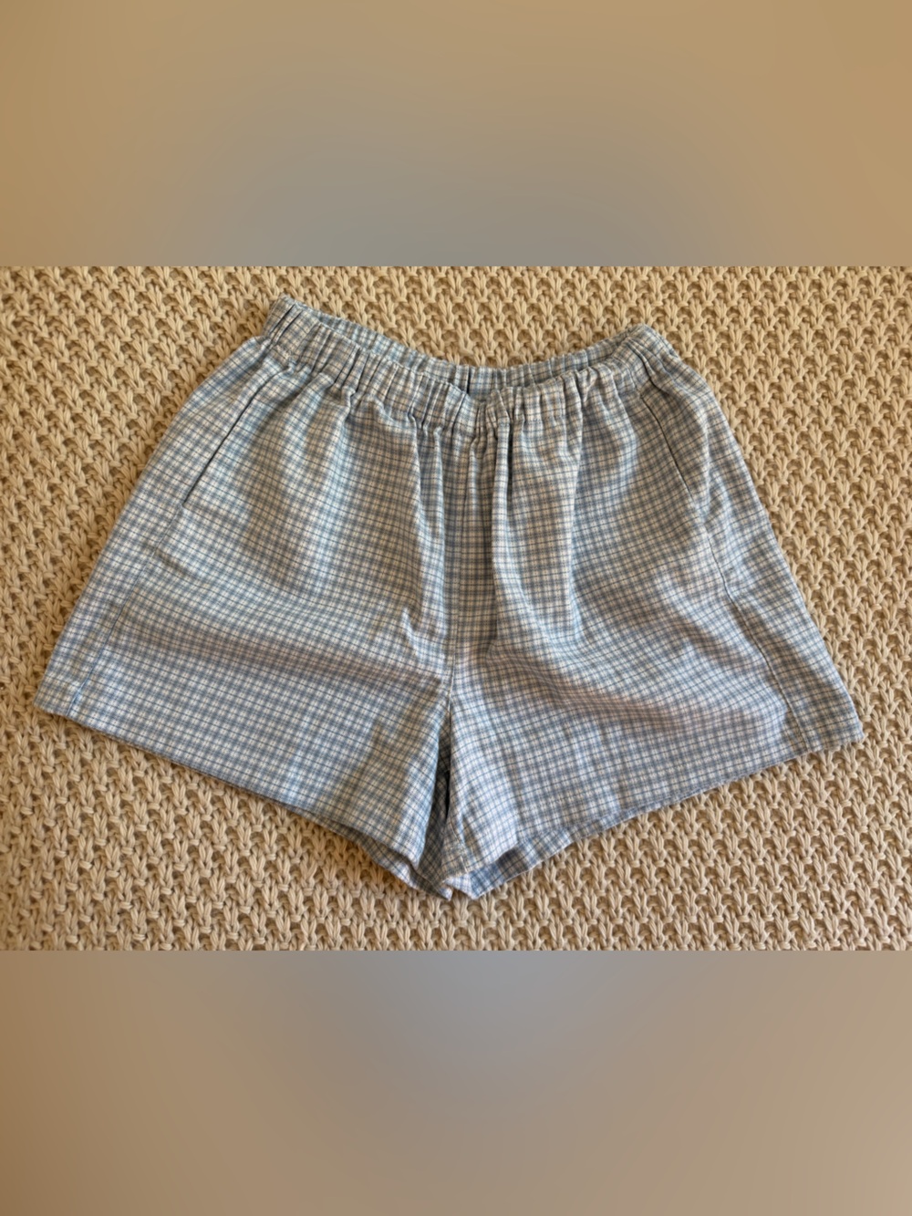 Brandy Melville Blue and White Plaid Shorts